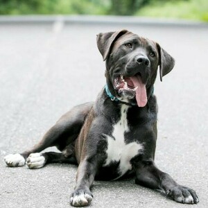 Fundraising Page: Debra Laster